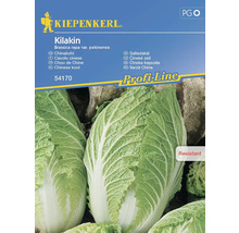 Kiepenkerl Kilakin Chinese kool zadenpakket