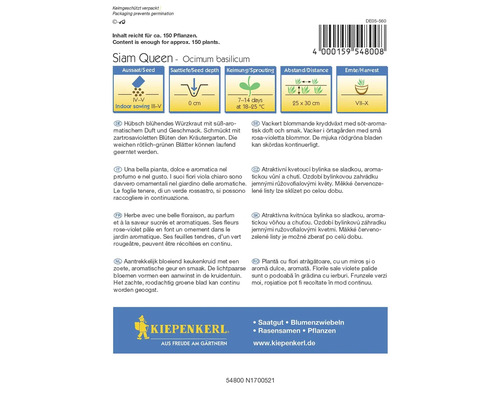 Zadenpakket Siam Queen basilicum met instructies voor zaaien, zaaidiepte, kieming, afstand en oogst