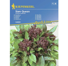 KIEPENKERL Kruidenzaden Basilicum Siam Queen 150 st.
