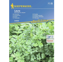 KIEPENKERL Kruidenzaden Peterselie Laura 350 st.
