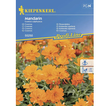 Kiepenkerl Mandarin Cosmos zwavelbloem bloemzaden verpakking
