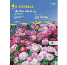 Kiepenkerl Madeliefjes gevulde mix zadenpakket