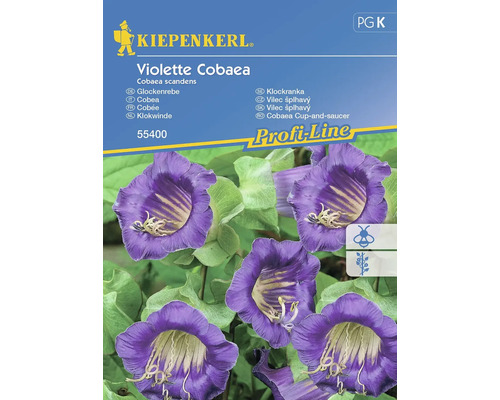 KIEPENKERL Bloemenzaden Klokwinde Violette Cobaea 10 st.