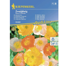 Kiepenkerl IJslandse papaver zaadpakket