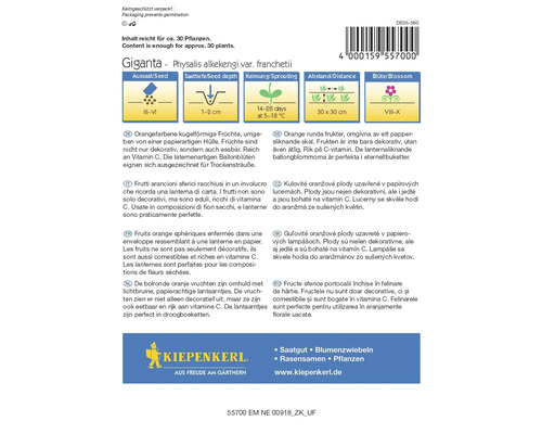 Zaadverpakking van de Giganta lampionplant