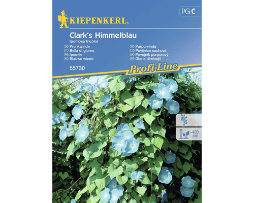 KIEPENKERL Bloemenzaden Dagbloem Clark'S Himmelblau 20 st.