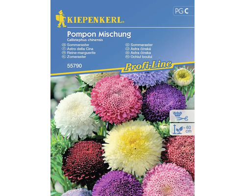 KIEPENKERL Bloemenzaden Zomeraster Pompon Mix 50 st.