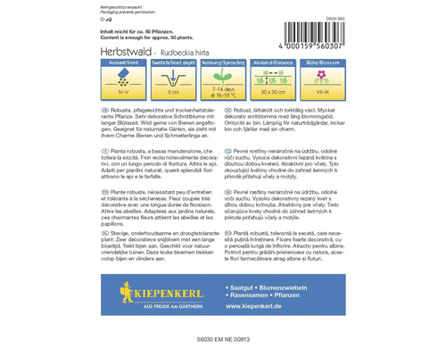 Zaadpakket Herbstwald Rudbeckia hirta