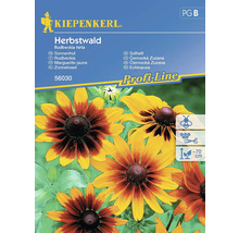 KIEPENKERL Bloemenzaden Zonnehoed Rudbeckia Mix 50 st.
