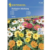 Kiepenkerl Zinnia Profusion Mengsel zadenpakket