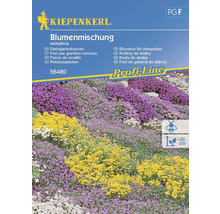 KIEPENKERL Bloemenzaden mix Rotstuin