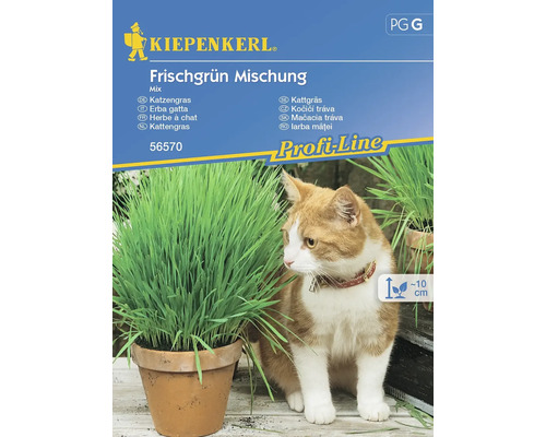 KIEPENKERL Bloemenzaden Kattengras Frisgroen Mix 10 st.