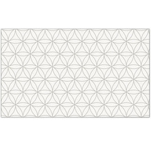 Tegelpatroon met geometrische bloemmotieven