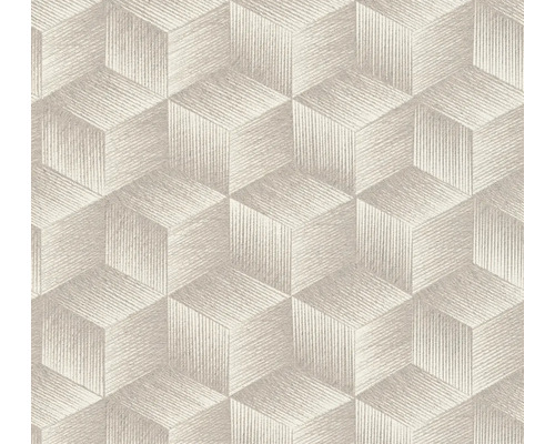 A.S. CRÉATION Vliesbehang 38506-1 Natural Living geometrisch grijs Behang met geometrisch kubuspatroon