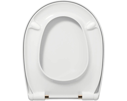 Toiletdeksel van kunststof