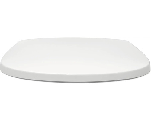 Toiletdeksel van kunststof