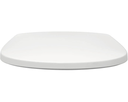 Toiletdeksel van kunststof