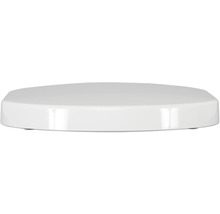 Witte toiletbril
