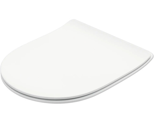 Toiletdeksel van kunststof