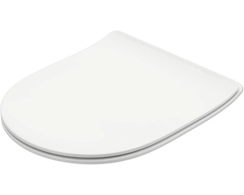 Toiletdeksel van sanitair keramiek