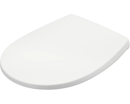 Toiletdeksel van kunststof