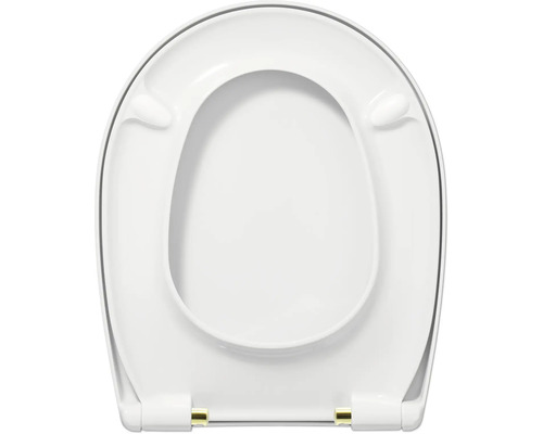 Toiletzitting van kunststof