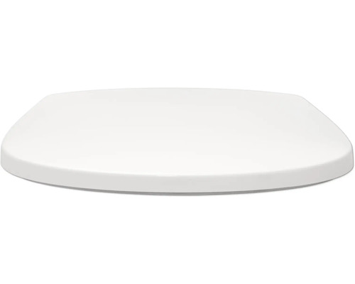 Kunststof toiletdeksel