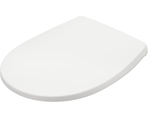 Toiletdeksel van sanitair keramiek