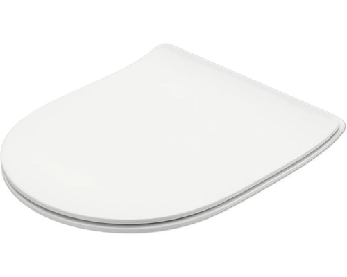 Toiletdeksel van kunststof