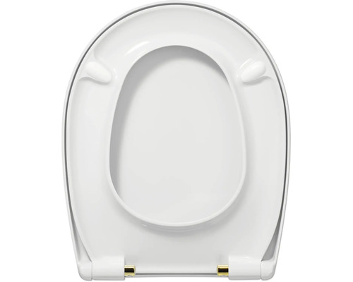 Toiletzitting van kunststof