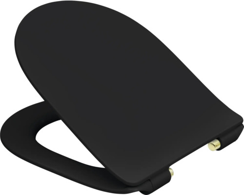 Toiletdeksel gemaakt van duroplast