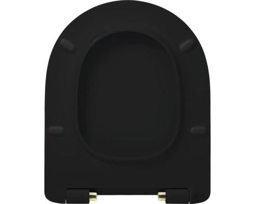 Zwarte toiletbril van duroplast met bevestiging