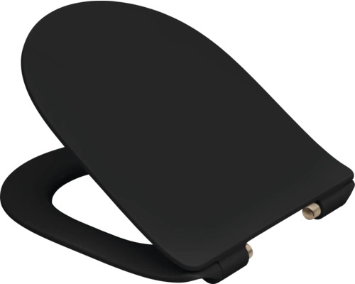 Zwarte toiletbril van sanitair keramiek