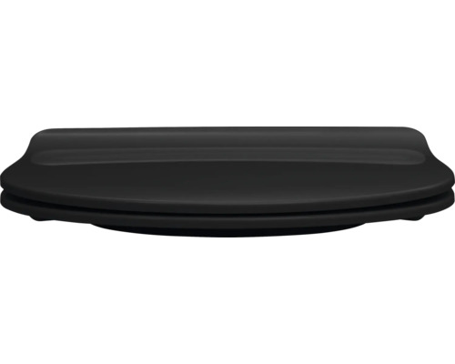 Kunststof toiletdeksel