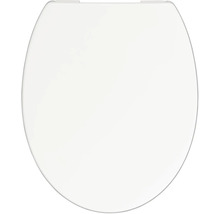 Toiletdeksel van kunststof