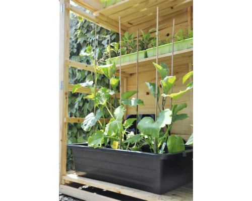 Verhoogde tuinbak met planten in een houten stelling