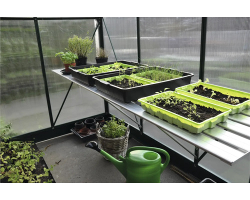 Kas met zaaitafel, zaaibakken en planten