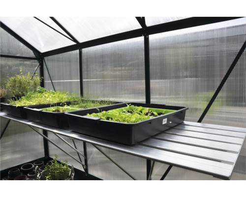 Interieur van een kas met zaaitafels en plantenbakken