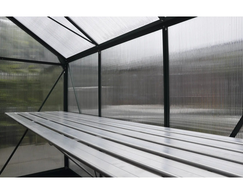 Binnenaanzicht van een kas met een plank