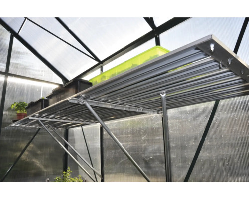 Interieur van een kas met rekken en plantenbakken