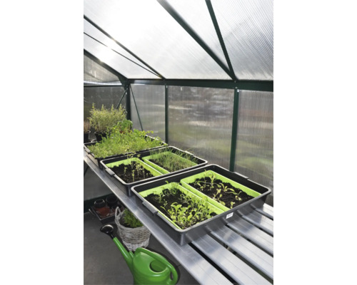 Interieur van een kas met planten in plantenbakken op een tafel