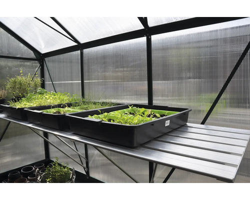 Interieur van een kas met rek en zaaitrays