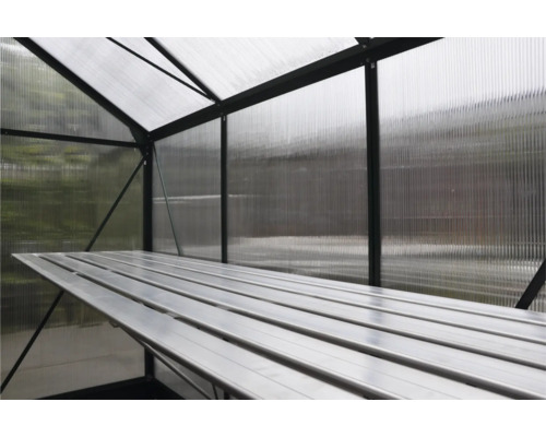 Binnenaanzicht van een kas met een plank