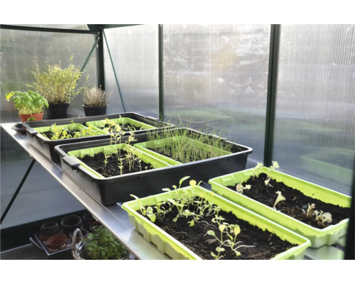 Kas met zaaibakken en verschillende kruiden en planten