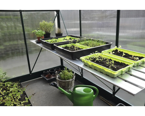 Interieur van een kas met kweektafels en zaaibakken