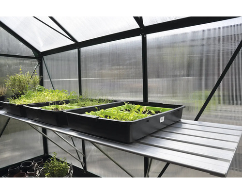 Kasinterieur met rek en kweekbakken met zaailingen