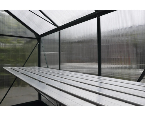 Interieur van een kas met rekken en lichtdoorlatende wanden