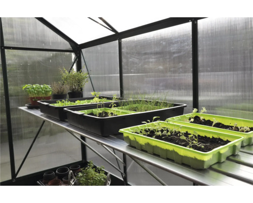 Kas met planken en zaaibakken met planten