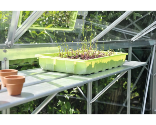 Kweekbak met planten op een plank in een kas