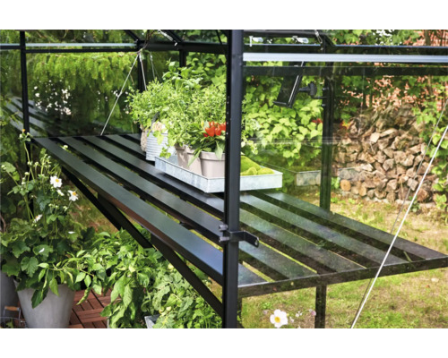 Binnenaanzicht van een kas met plantenrek